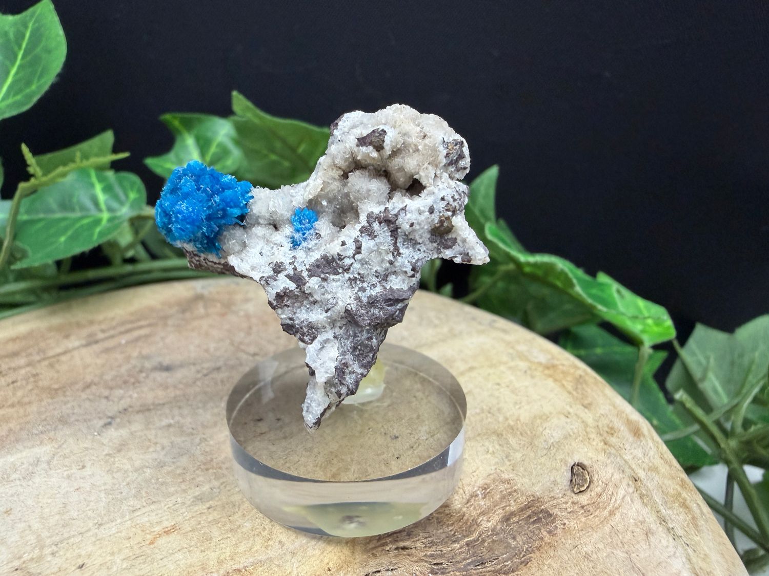 Cavansiet / Pentagoniet Cavansiet / Pentagoniet