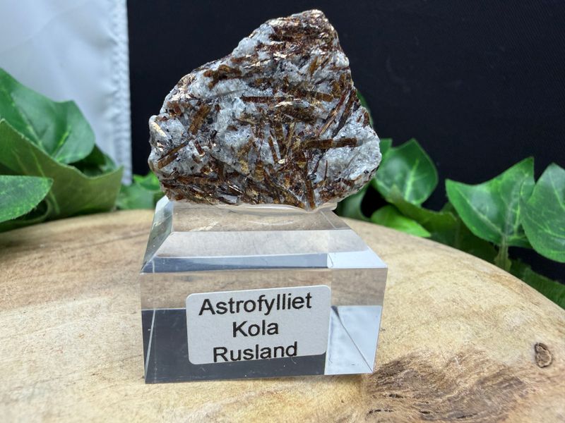 Astrofylliet