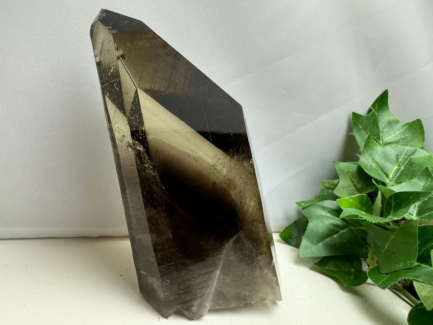 Rookkwarts met zwarte fantoom