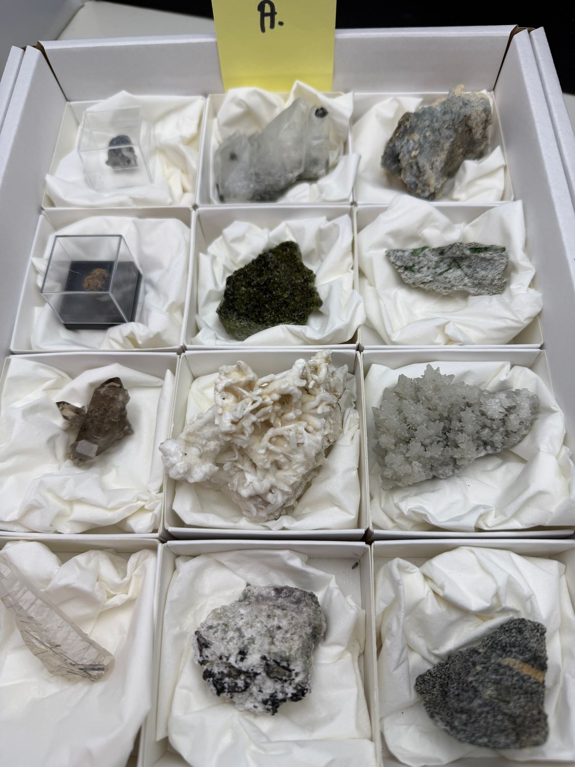 Verzameling uit de Alpen