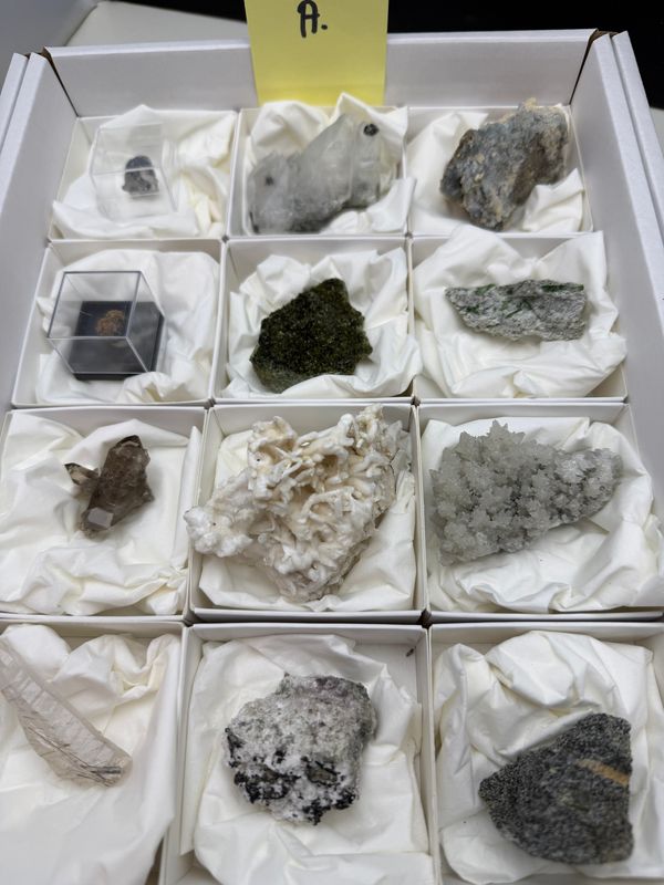 Verzameling uit de Alpen