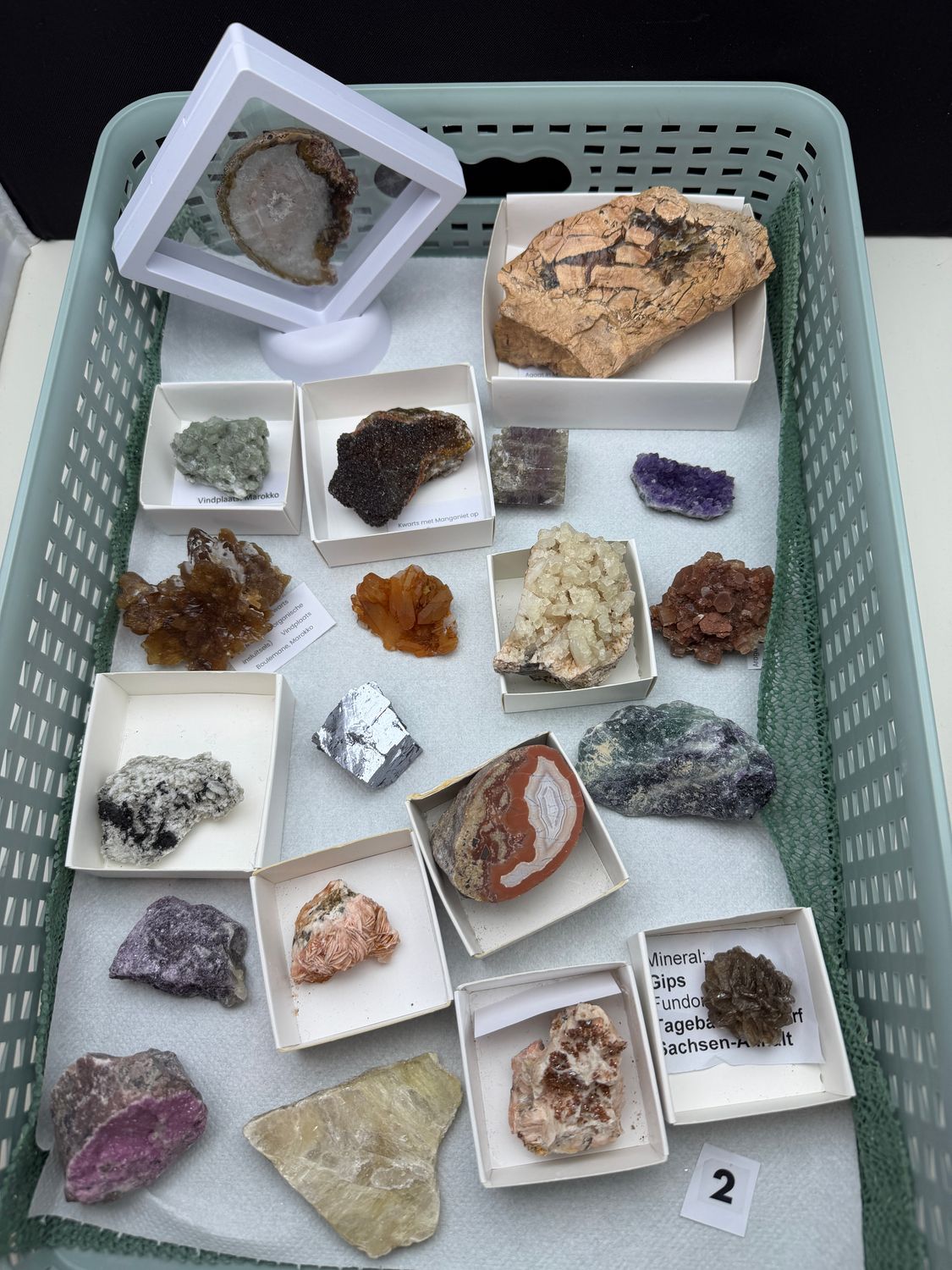 Beginnersverzameling