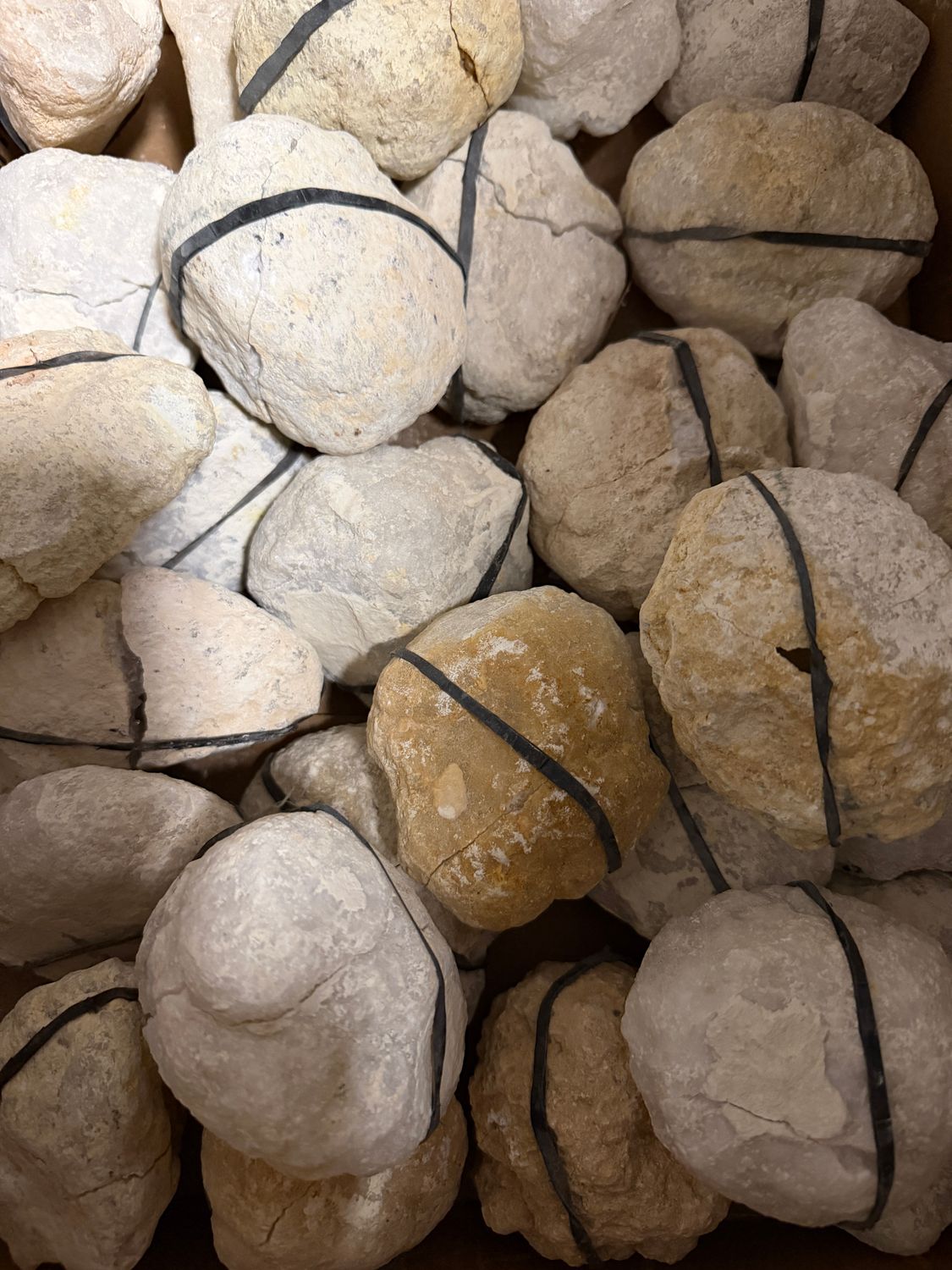 Marokkaanse Geode (m)