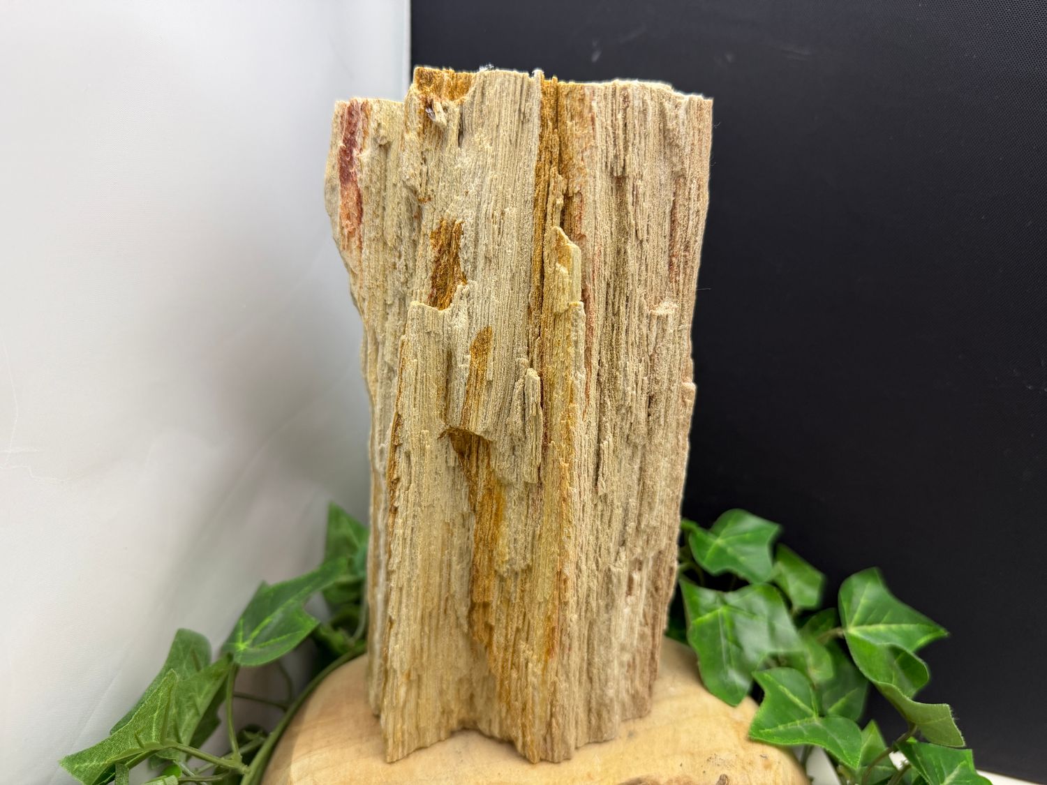 Versteend hout