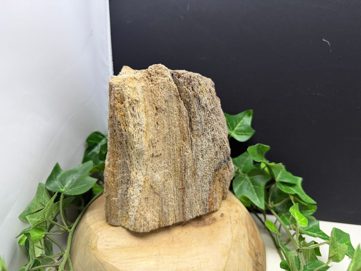 Versteend hout