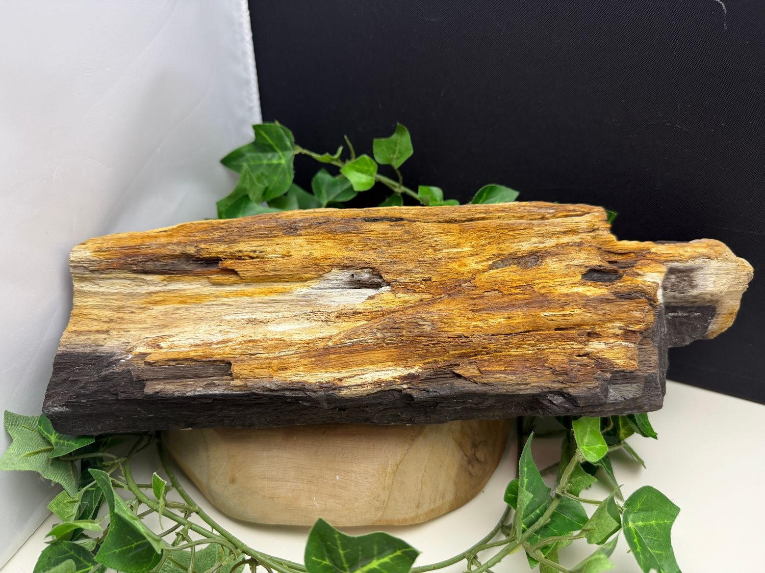 Versteend hout