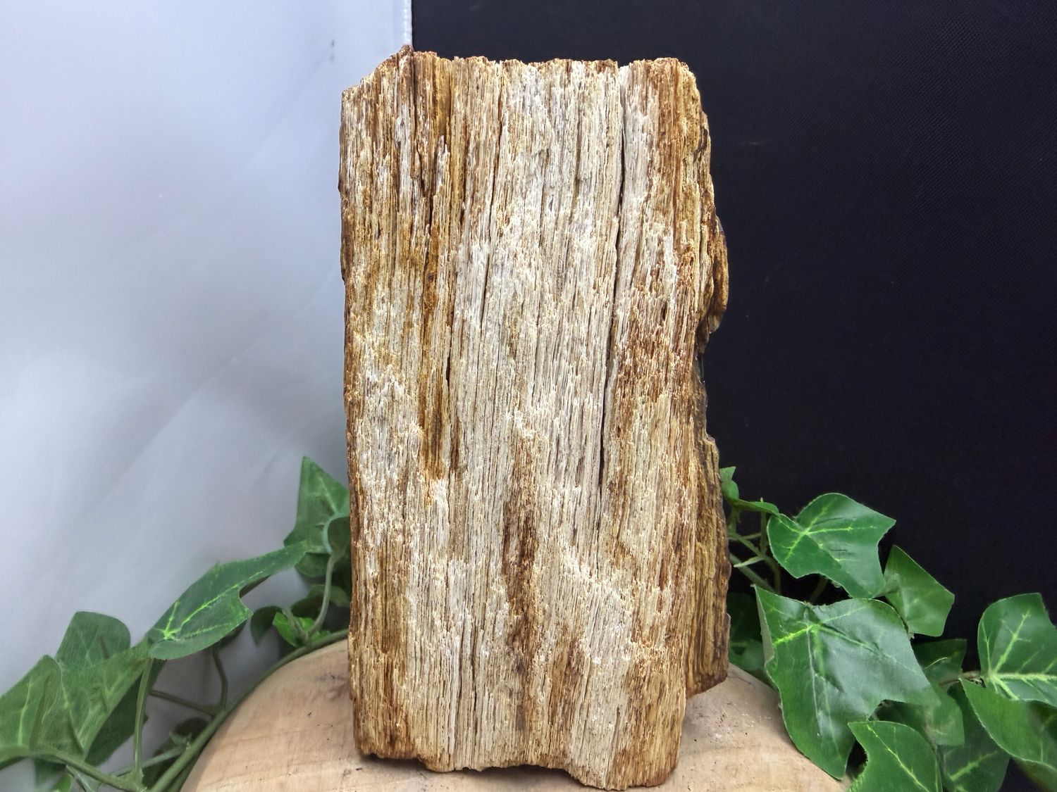 Versteend hout