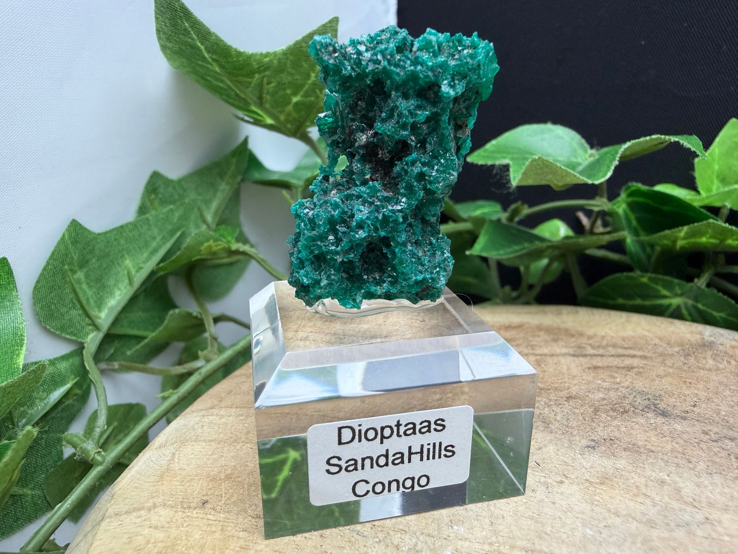 Dioptaas