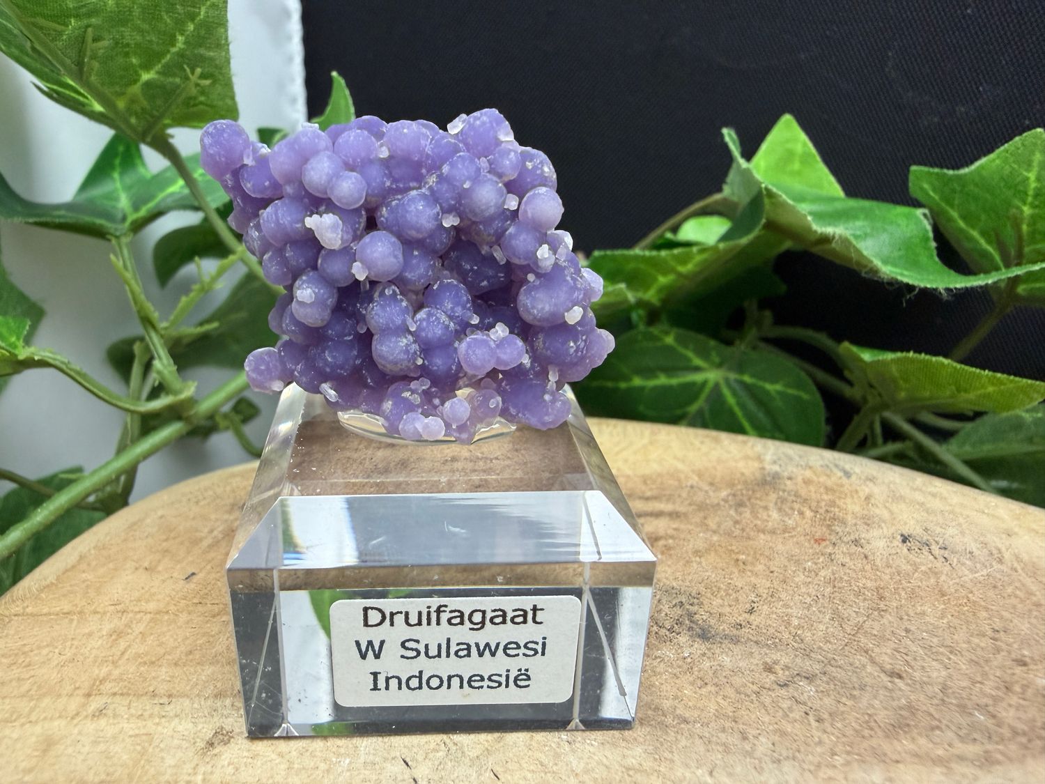 Druifagaat