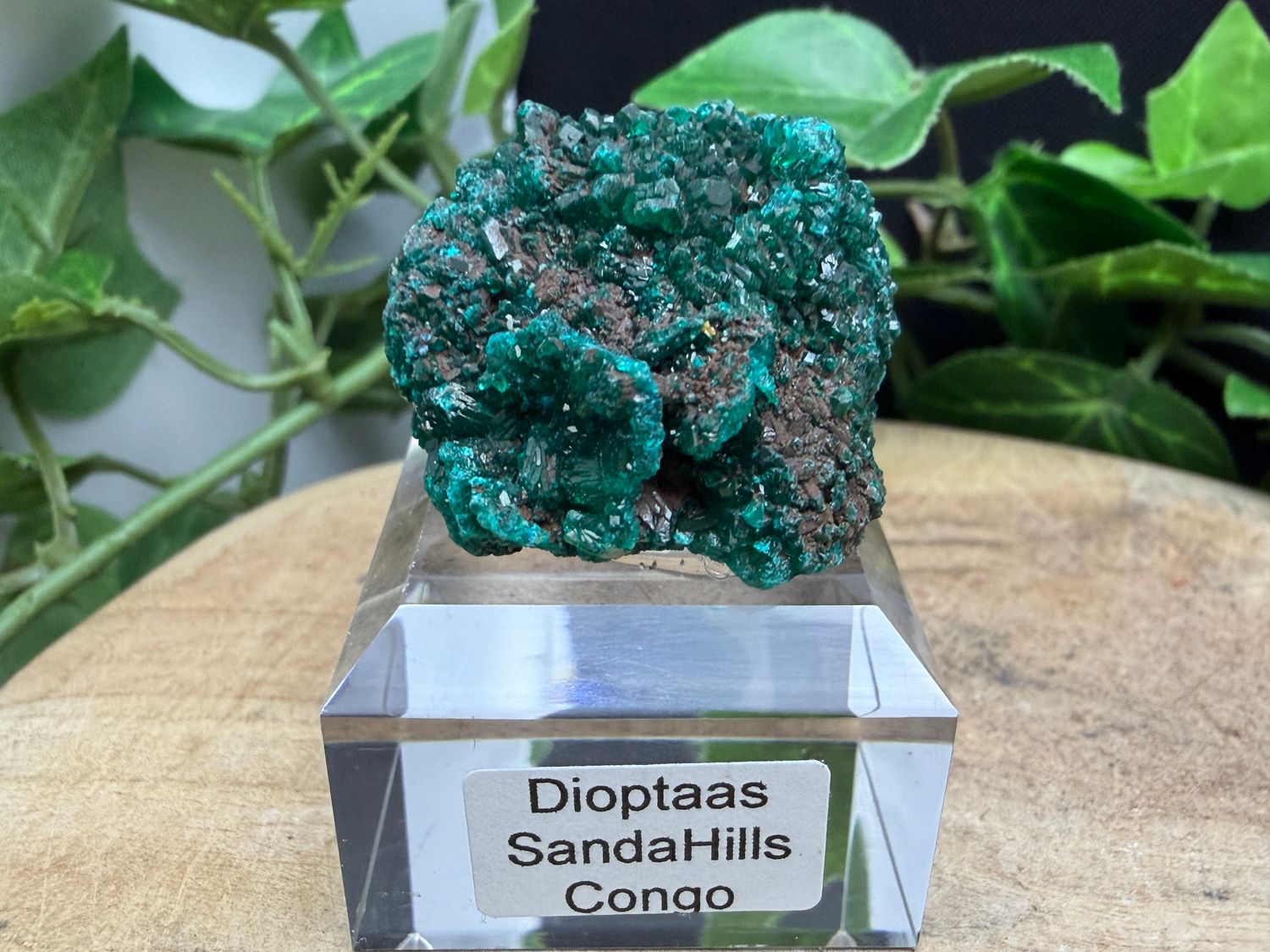 Dioptaas