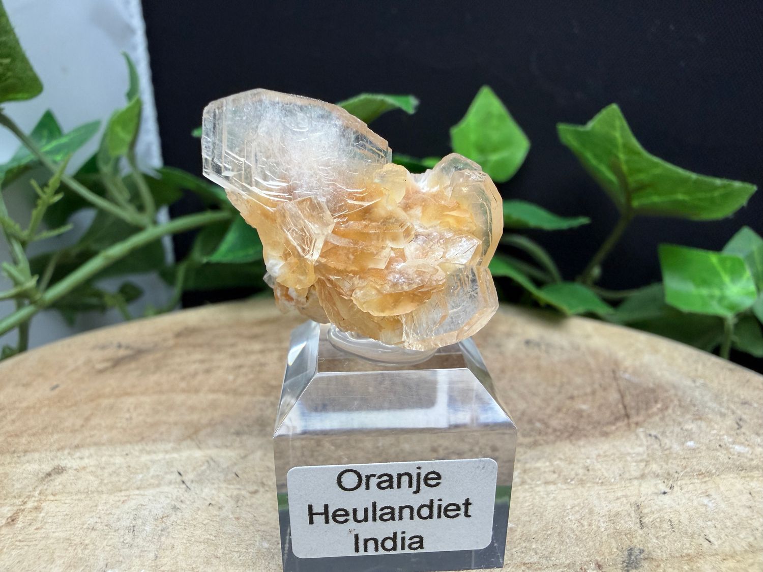 Oranje Heulandiet