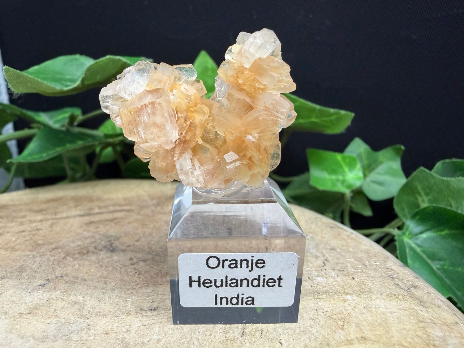 Oranje Heulandiet