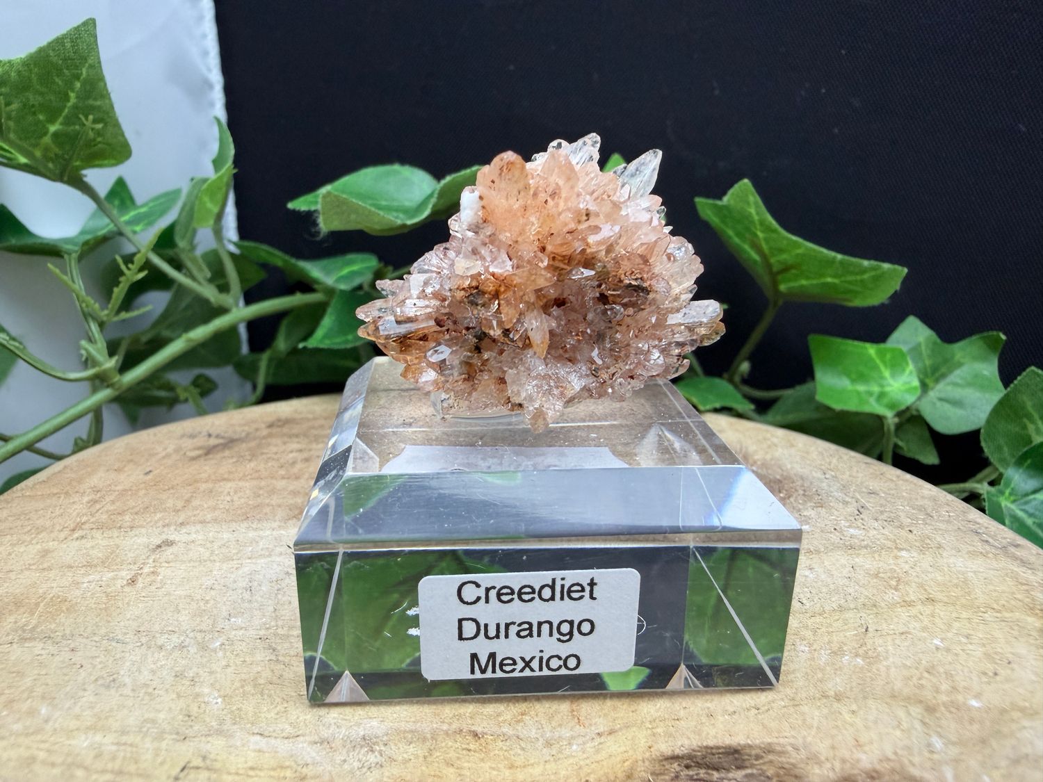 Creediet