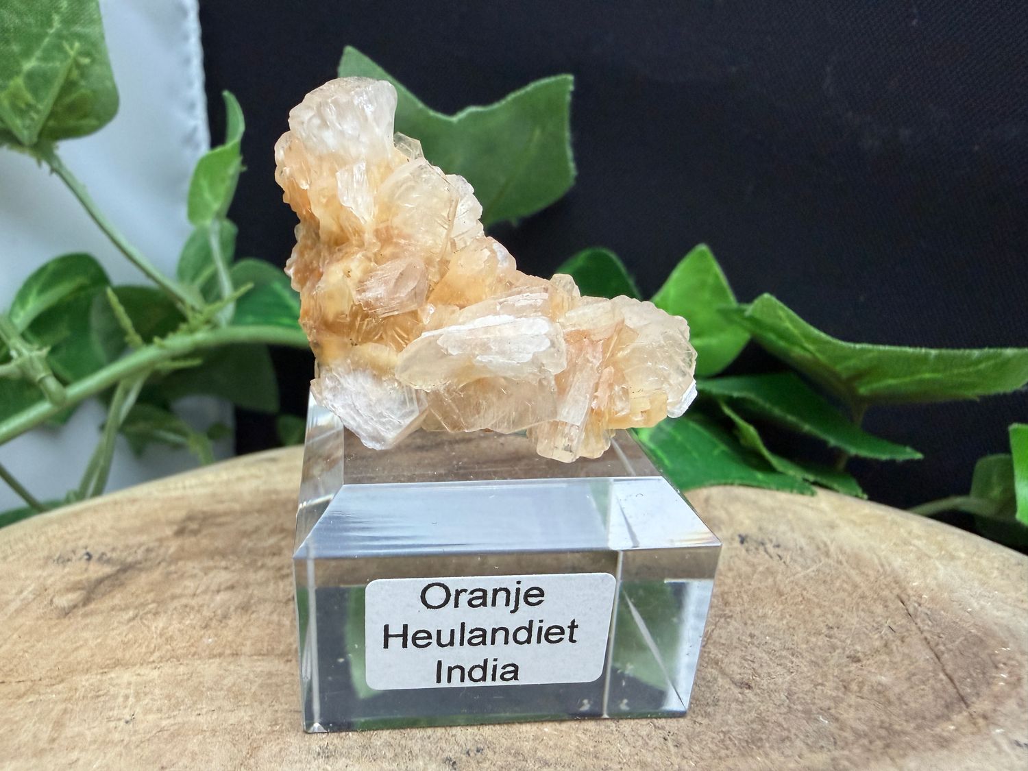 Oranje Heulandiet