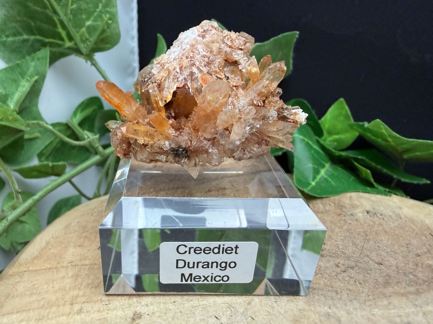 Creediet