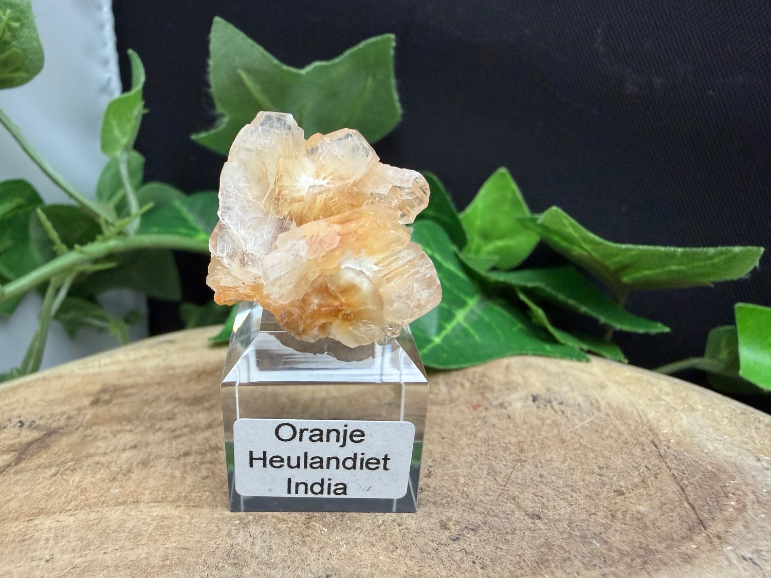 Oranje Heulandiet
