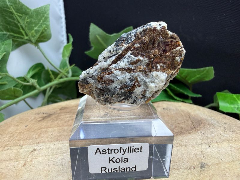 Astrofylliet