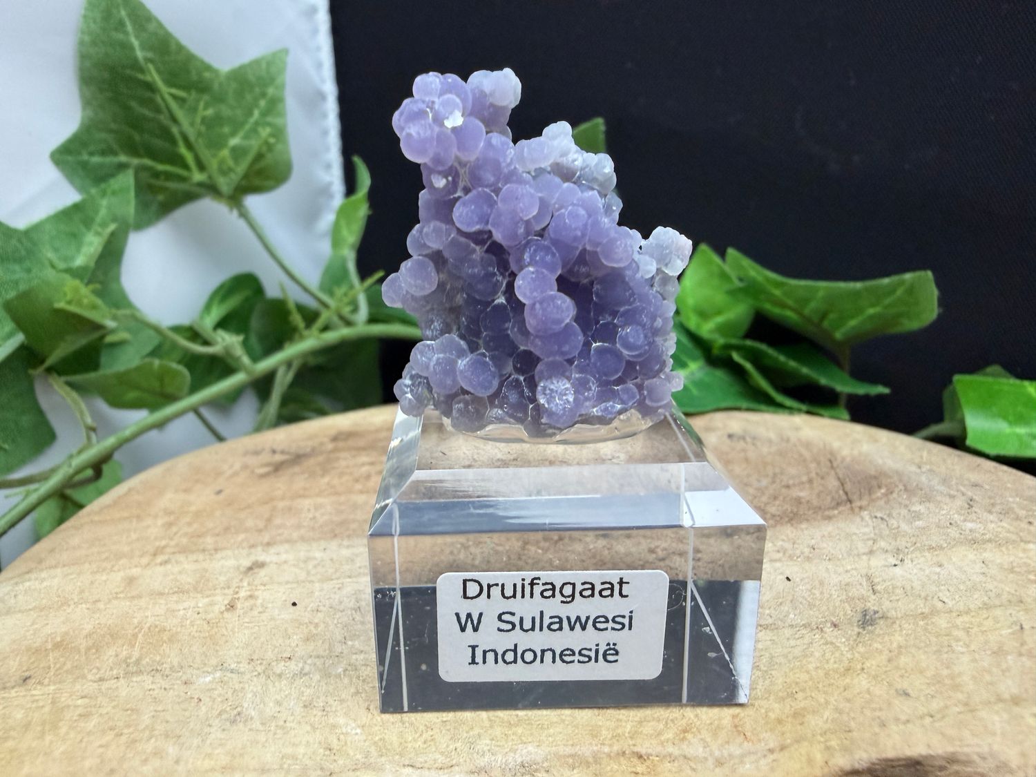 Druifagaat