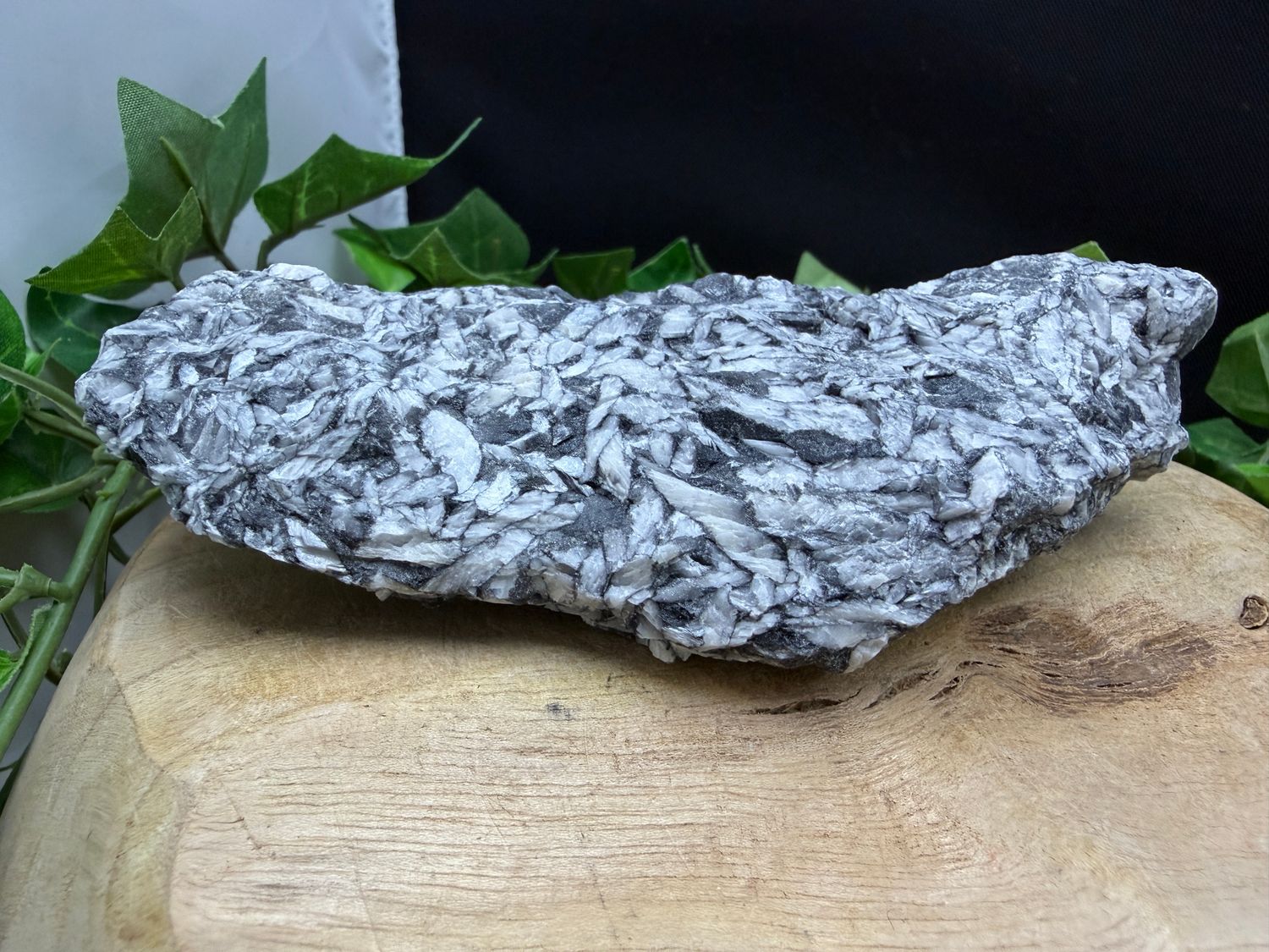 Pinoliet