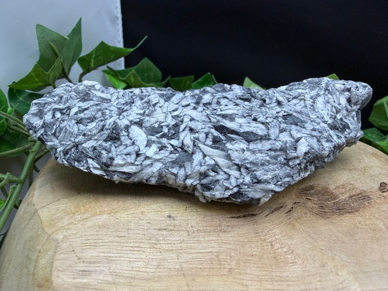 Pinoliet