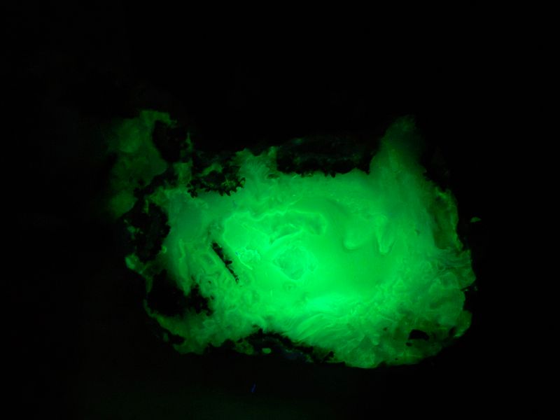 Tranca Nodule (knol)