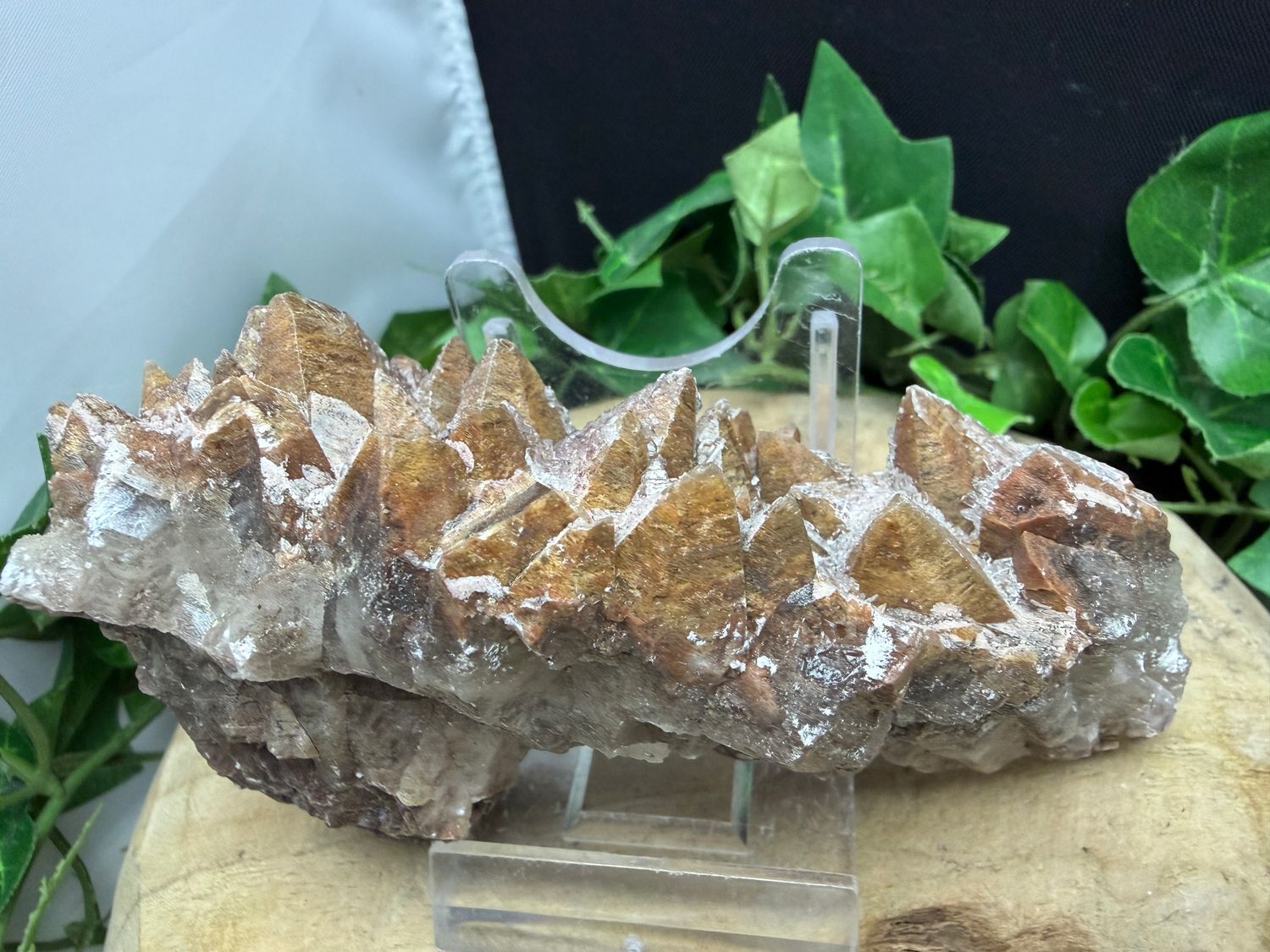 Dogtooth Calciet