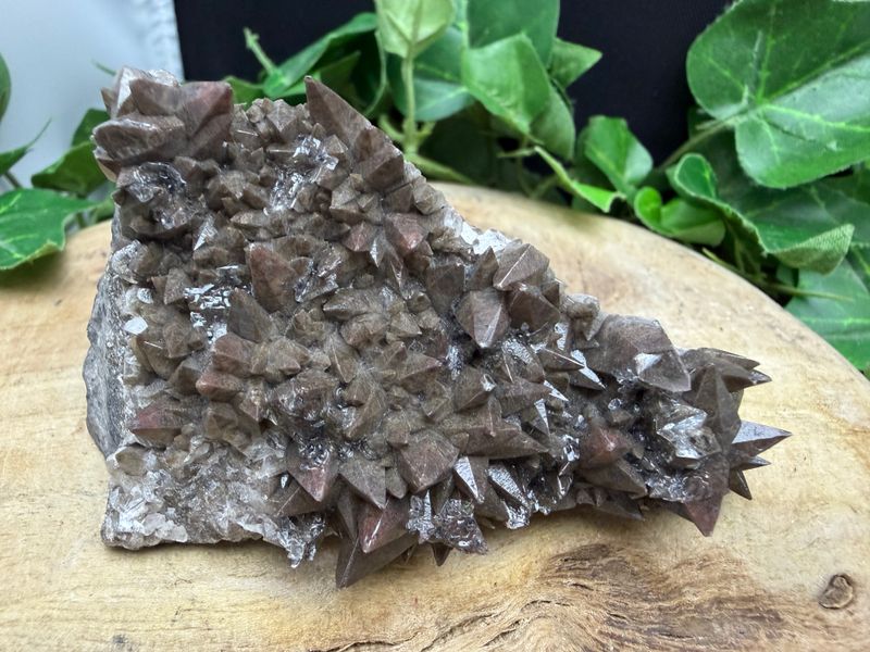 Dogtooth Calciet