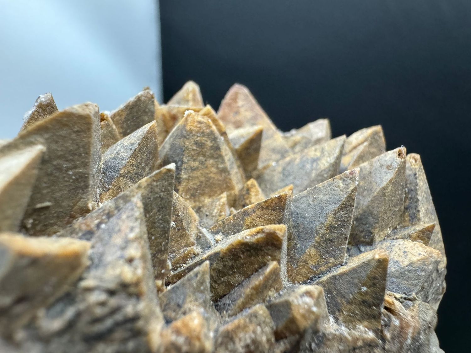 Dogtooth Calciet