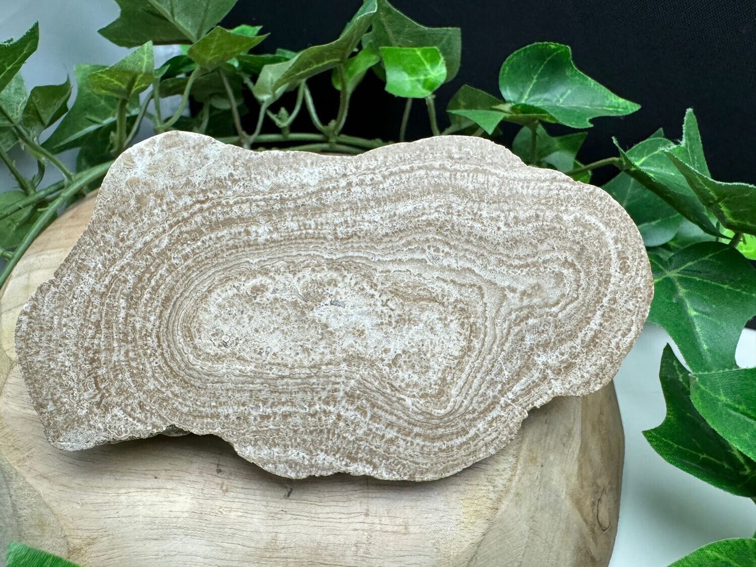 Eichenberger Kugel Eichenberger Kugel