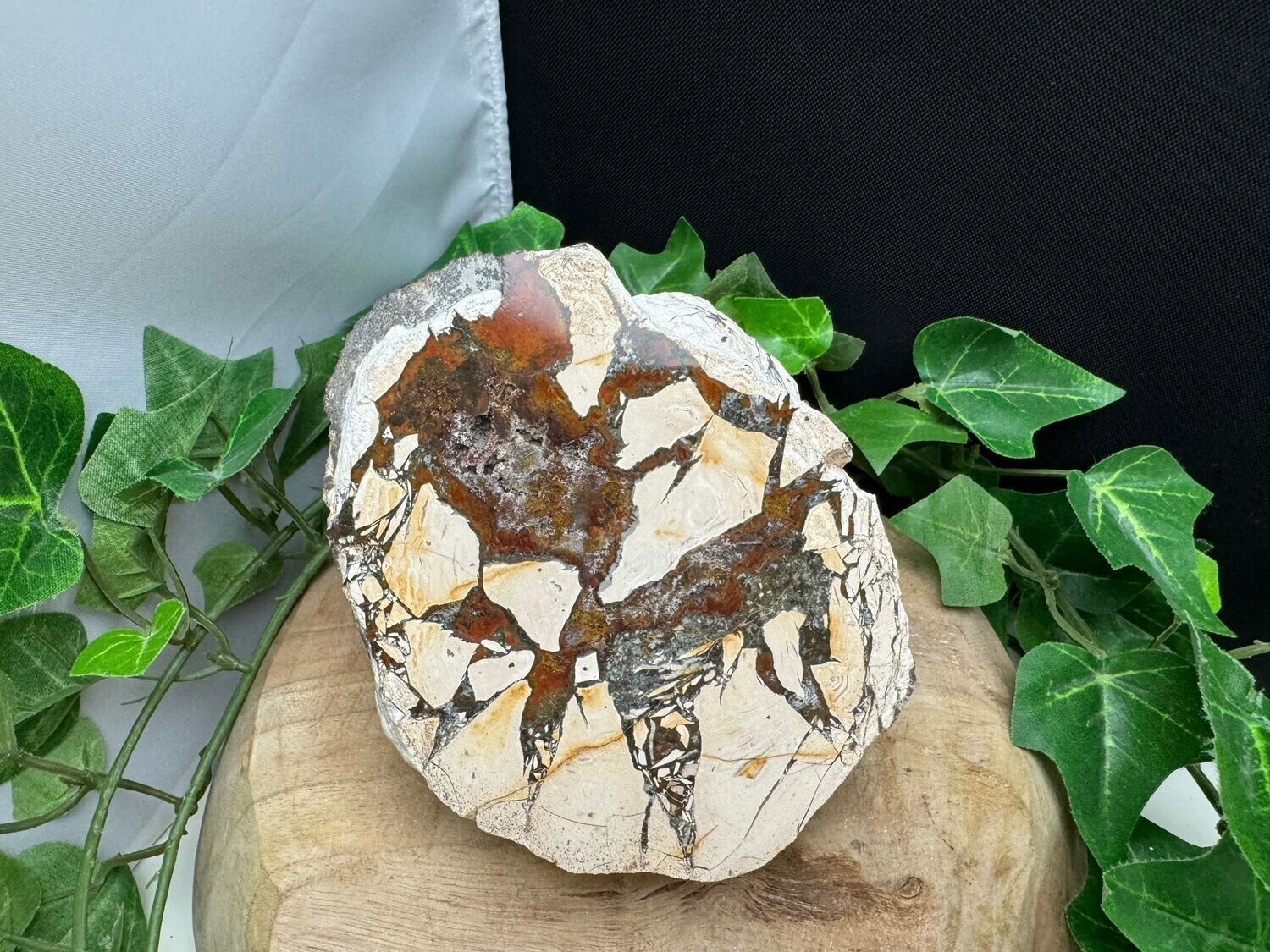 Agaat in Rhyoliet (thunderegg) Agaat in Rhyoliet (thunderegg)