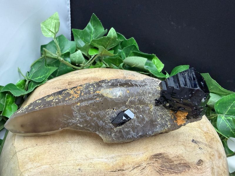 Rookkwarts