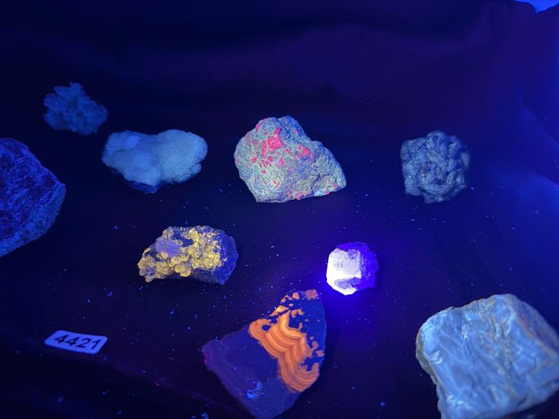 12 UV mineralen 365 nm