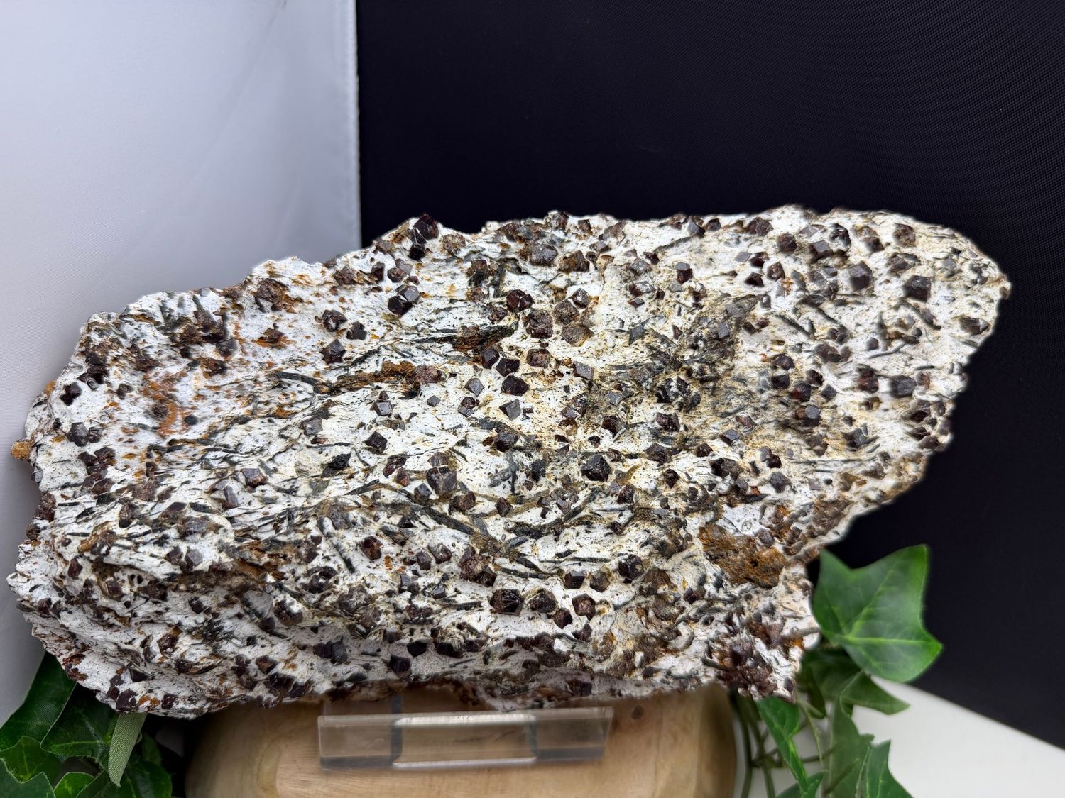 Granaat op Hoornblende XL Granaat op Hoornblende XL