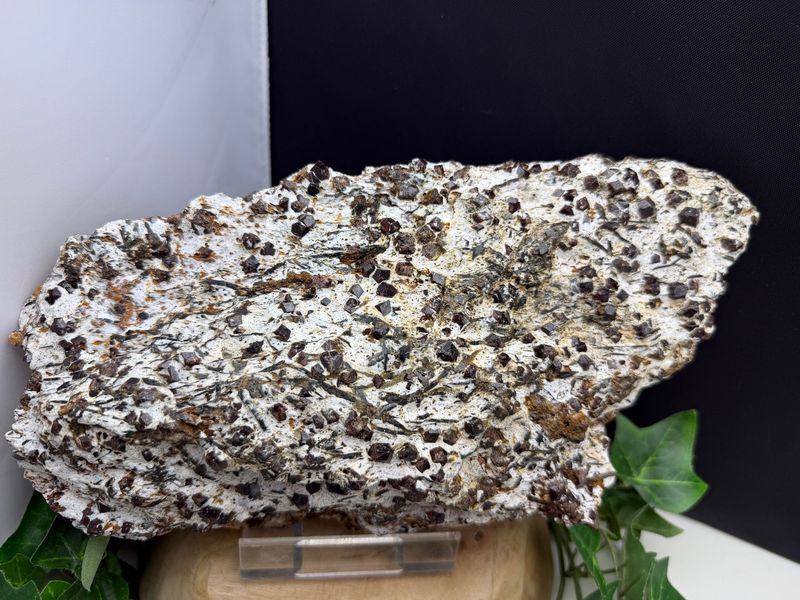 Granaat op Hoornblende XL