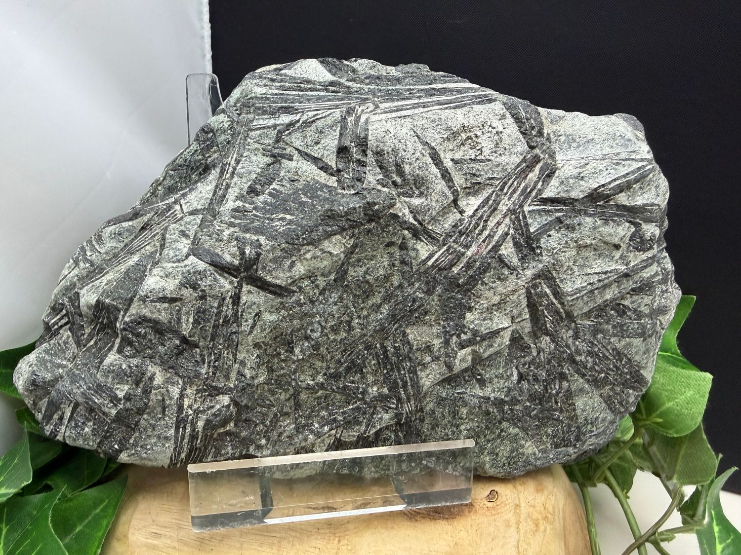 Hoornblende XL