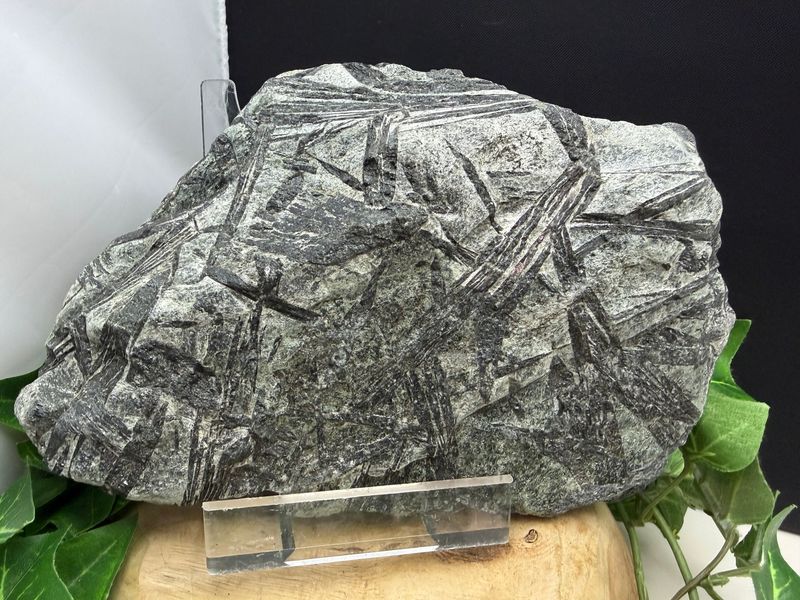 Hoornblende XL