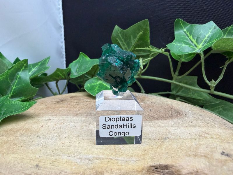 Dioptaas
