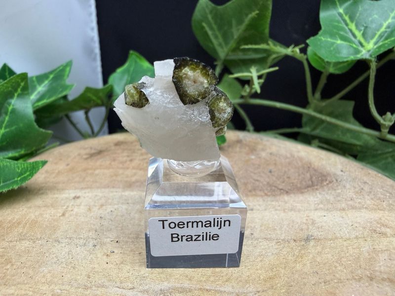 Watermeloen toermalijn