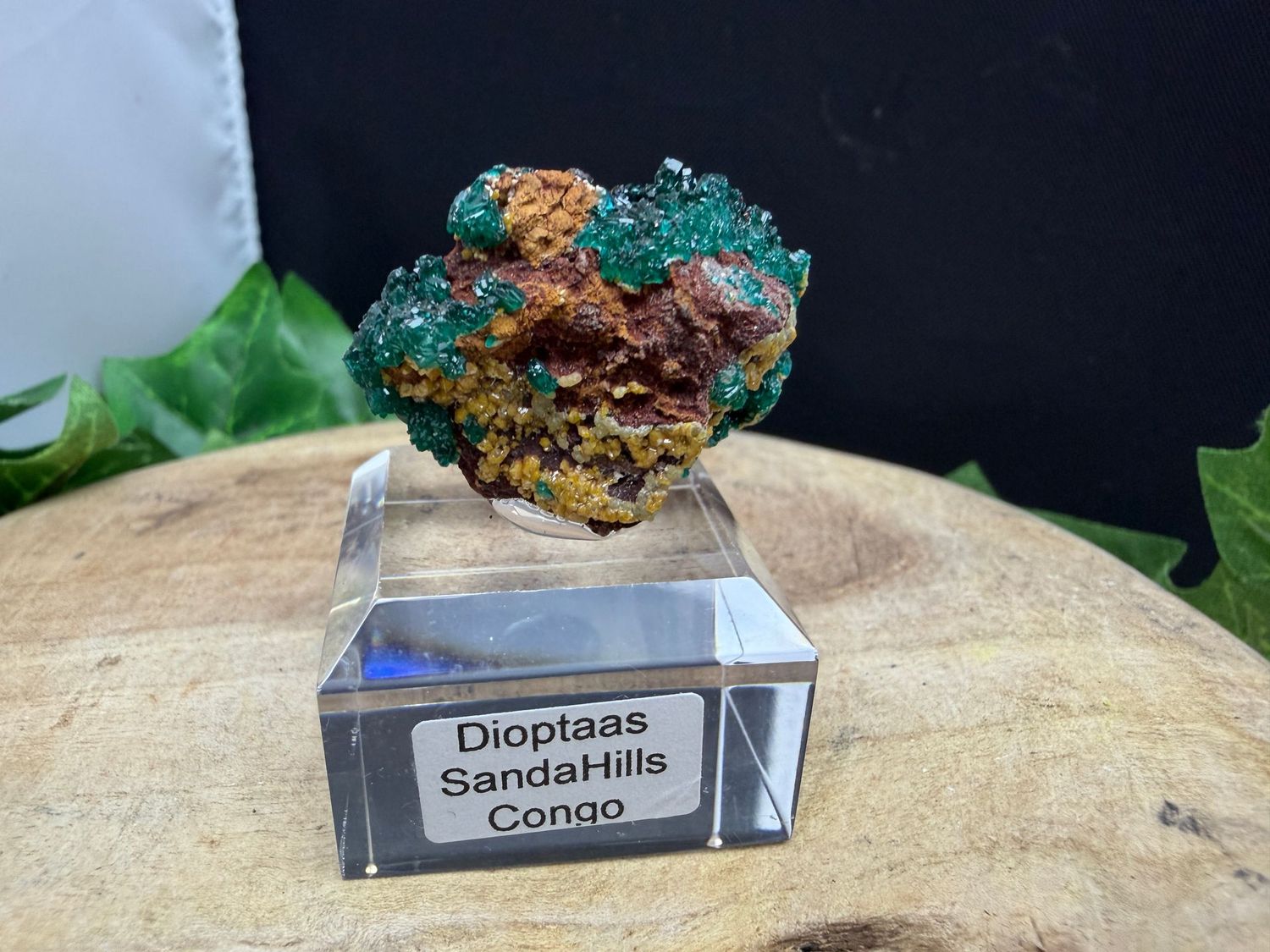 Dioptaas