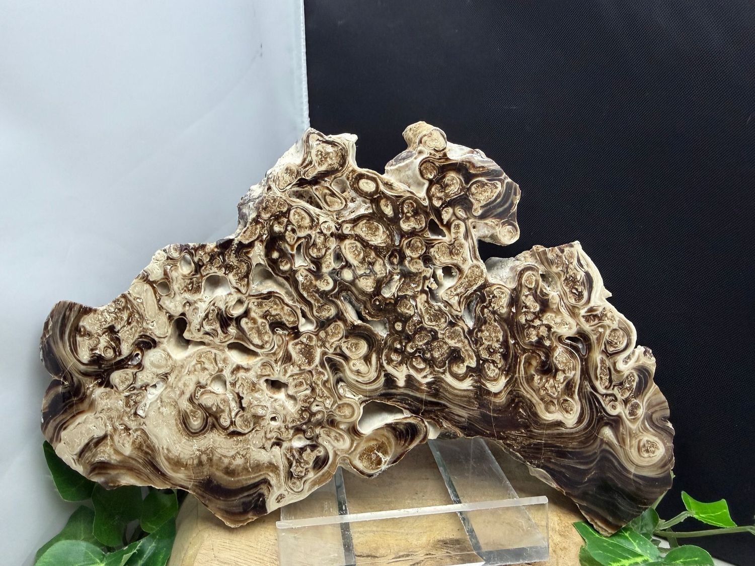 Calciet met Aragoniet Calciet met Aragoniet
