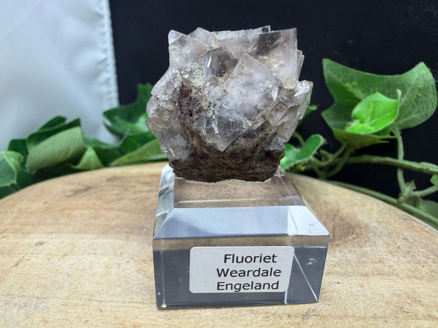 Fluoriet Fluoriet