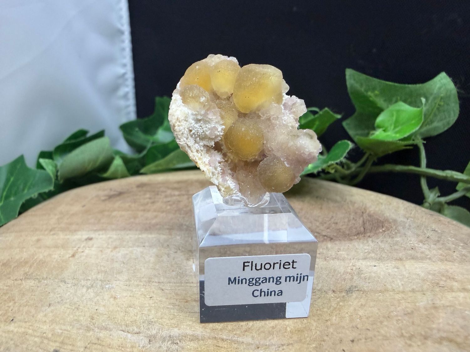 Fluoriet Fluoriet