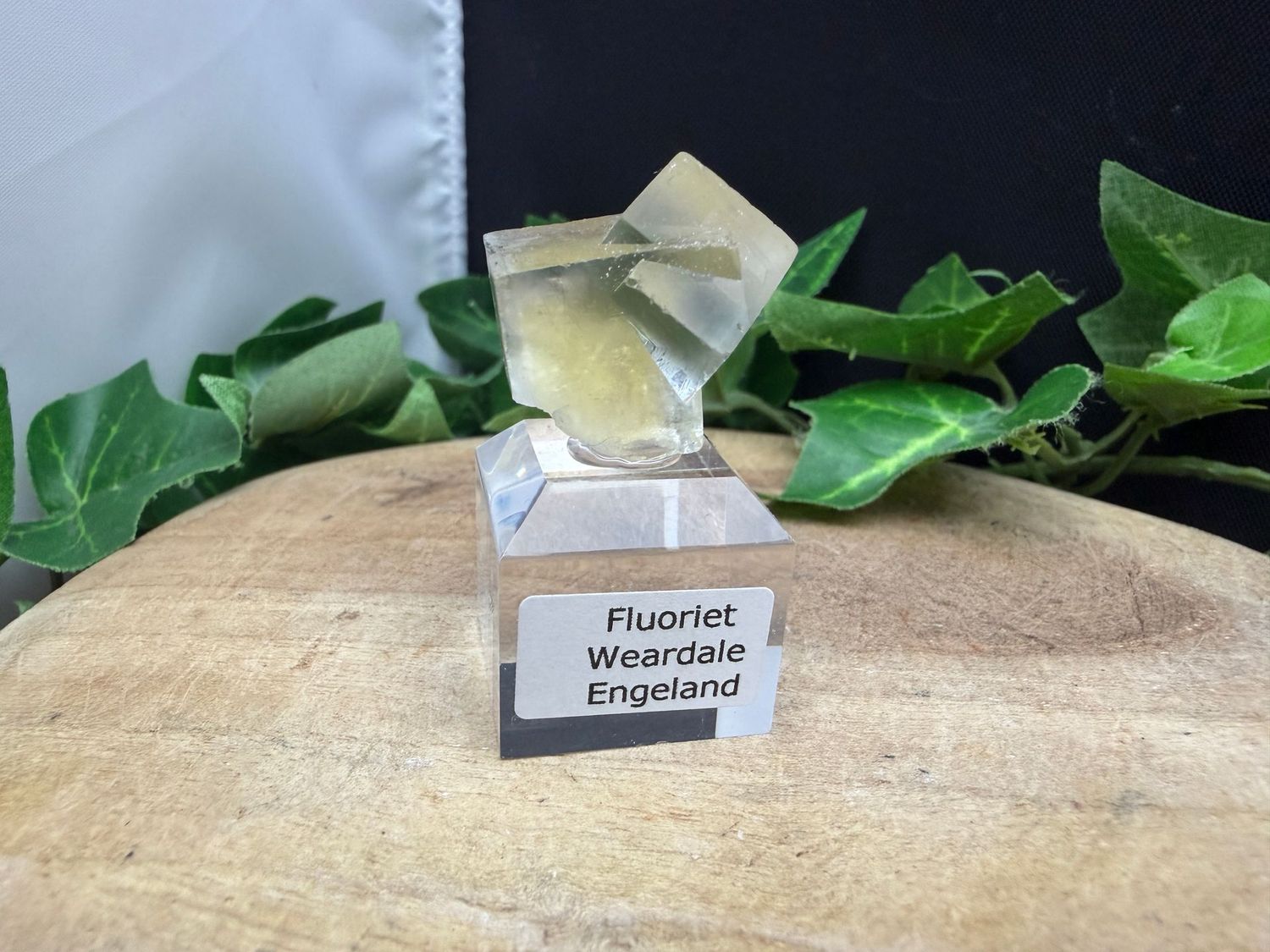 Fluoriet Fluoriet