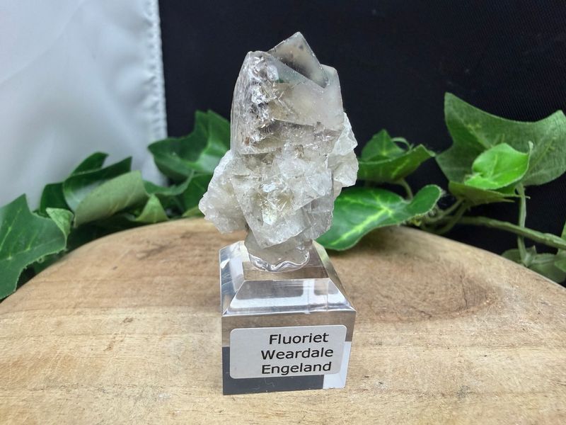 Fluoriet