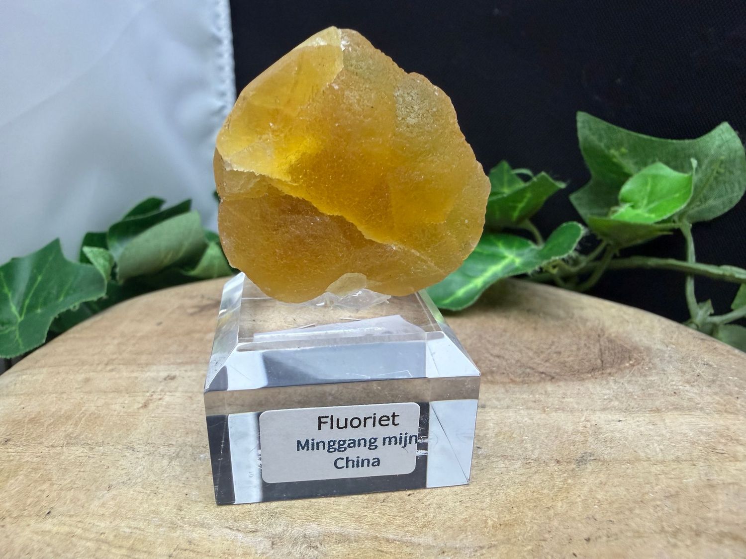 Fluoriet Fluoriet