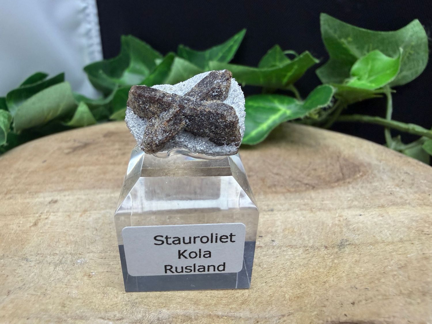 Stauroliet Stauroliet