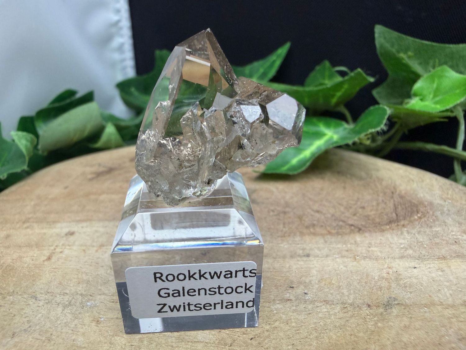 Rookkwarts