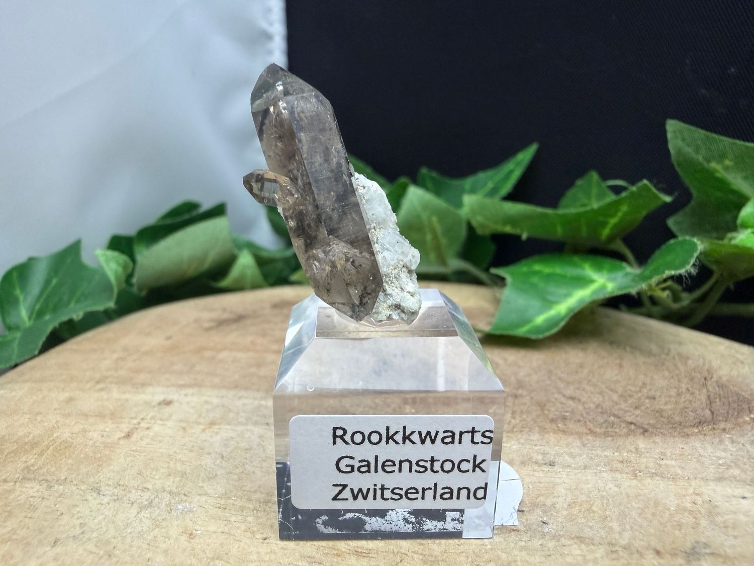 Rookkwarts (dubbeleinder met manifestatie)
