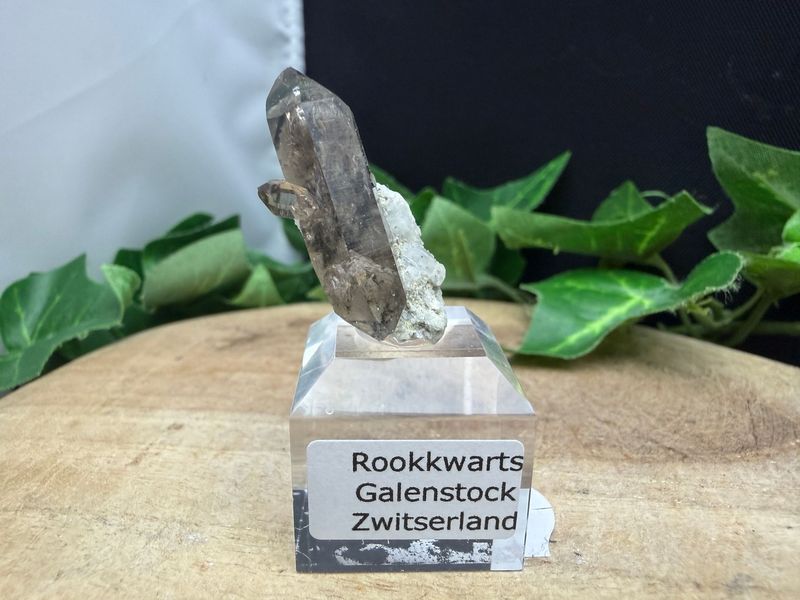Rookkwarts (dubbeleinder met manifestatie)