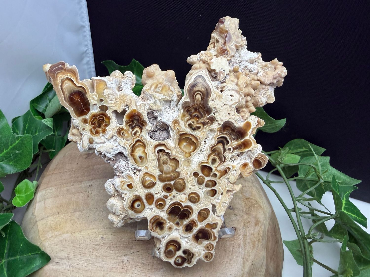 Calciet met Aragoniet Calciet met Aragoniet